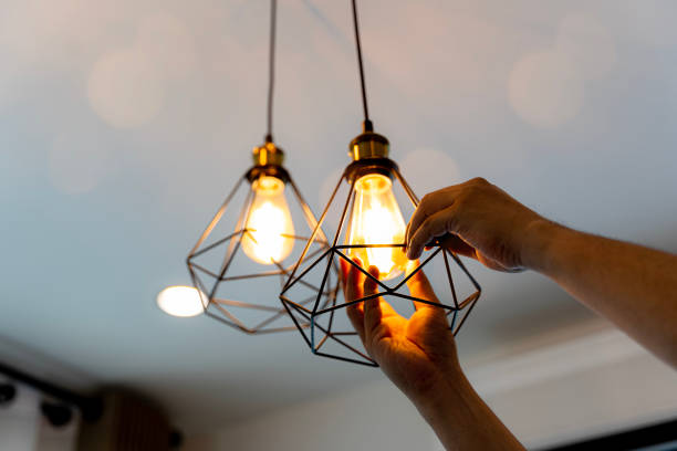 Best Electric Panel Repair  in Northlake, SC